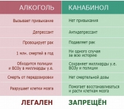 рейтинг блогов